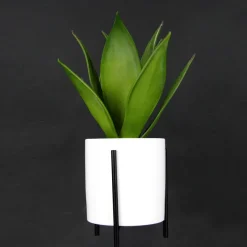 DecoWoerner Plantas De Interior><noscript><img width=