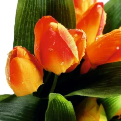 DecoWoerner Decoración De Primavera|Ramos Y Coronas De Flores><noscript><img width=