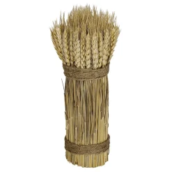 DecoWoerner Decoración De Otoño|Hierba Decorativa>Tallos De Trigo Seco 2-atado 8 X 28 Cm