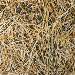 DecoWoerner Telas|Decoración De Otoño>Tejido Decorativo "Paja", Anchura: 150 Cm