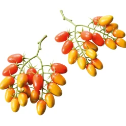 DecoWoerner Verduras Y Hierbas>Tomates En Racimos Roma, Envase De 2 Unidades