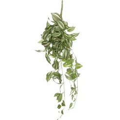 DecoWoerner Decoración De Primavera|Plantas Verdes>Tradecantia Colgante En Maceta De 65 Cm