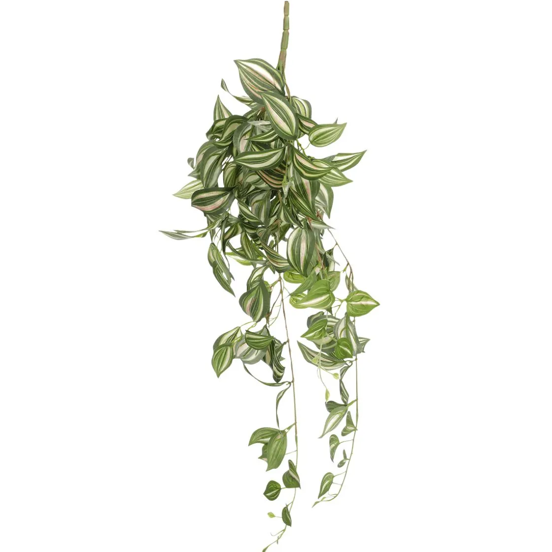 DecoWoerner Decoración De Primavera|Plantas Verdes>Tradecantia Colgante En Maceta De 65 Cm