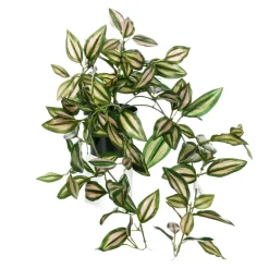 DecoWoerner Decoración De Primavera|Plantas Verdes>Tradecantia Colgante En Maceta De 30 Cm De Altura