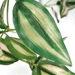 DecoWoerner Decoración De Primavera|Plantas Verdes><noscript><img width=