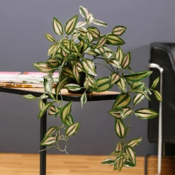 DecoWoerner Decoración De Primavera|Plantas Verdes><noscript><img width=