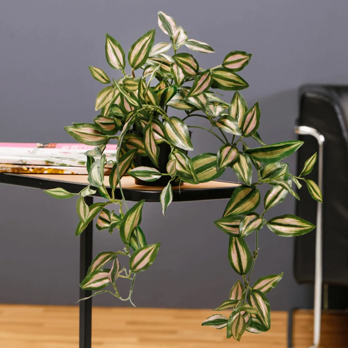 DecoWoerner Decoración De Primavera|Plantas Verdes>Tradecantia Colgante En Maceta De 30 Cm De Altura