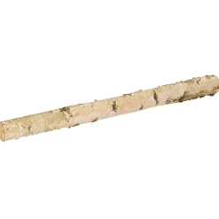 DecoWoerner Decoración Natural>Tronco De Abedul 100 Cm Aprox. 6-10 Cm Ø