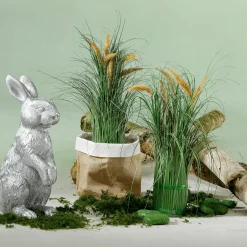 DecoWoerner Decoración Natural><noscript><img width=