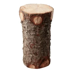 DecoWoerner Decoración De Otoño>Tronco Decorativo, Longitud 50 Cm