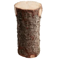 DecoWoerner Decoración Natural|Decoración De Otoño>Tronco Decorativo, Longitud 70 Cm