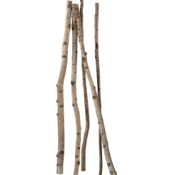 DecoWoerner Decoración Natural|Decoración Temática>Troncos De Abedul Decorativos, 170 Cm, 5 Piezas