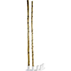 DecoWoerner Decoración Natural|Decoración Temática>Troncos De Abedul Decorativos, 170 Cm, 5 Piezas