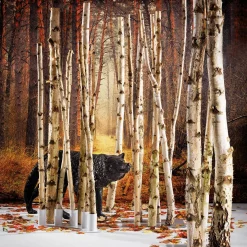 DecoWoerner Decoración Natural|Decoración Temática><noscript><img width=