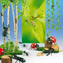 DecoWoerner Decoración Natural|Decoración Temática><noscript><img width=