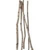 DecoWoerner Decoración Natural|Decoración Temática>Troncos De Abedul Decorativos, 220 Cm