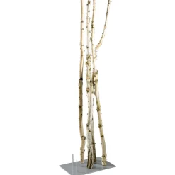 DecoWoerner Decoración Natural|Decoración Temática>Troncos De Abedul Decorativos, 220 Cm