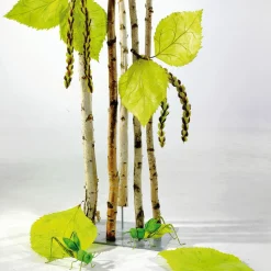 DecoWoerner Decoración Natural|Decoración Temática><noscript><img width=