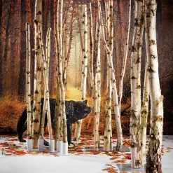 DecoWoerner Decoración Natural|Decoración Temática><noscript><img width=