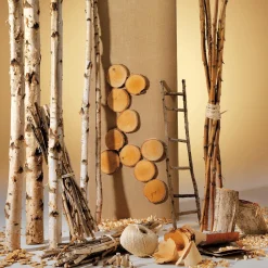 DecoWoerner Decoración Natural|Decoración Temática><noscript><img width=