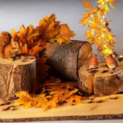 DecoWoerner Decoración Natural|Decoración De Otoño><noscript><img width=