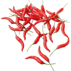 DecoWoerner Verduras Y Hierbas>Vainas De Chili Alimento De Imitación, 36 Piezas