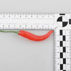 DecoWoerner Verduras Y Hierbas>Vainas De Chili Alimento De Imitación, 36 Piezas