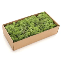 DecoWoerner Decoración Natural|Césped Artificial>Verdadero Musgo Natural 500 G