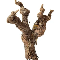 DecoWoerner Decoración Natural|Decoración De Otoño>Vid Natural