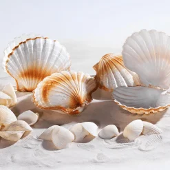 DecoWoerner Decoración De Verano><noscript><img width=