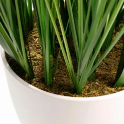 DecoWoerner Hierba Decorativa><noscript><img width=