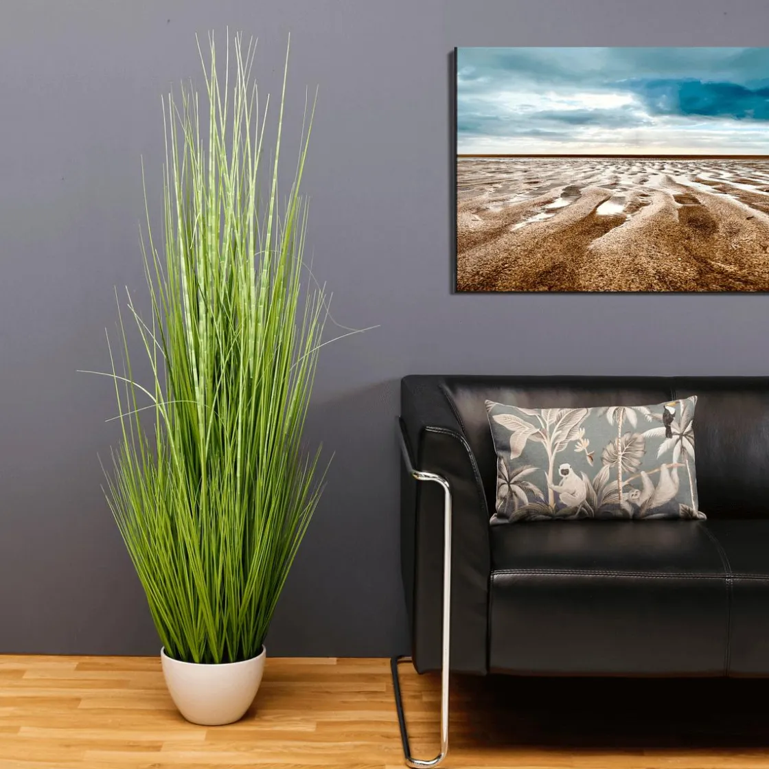 DecoWoerner Plantas De Interior|Hierba Decorativa>XXL Deco Tiger Grass En Maceta Blanca 150 Cm