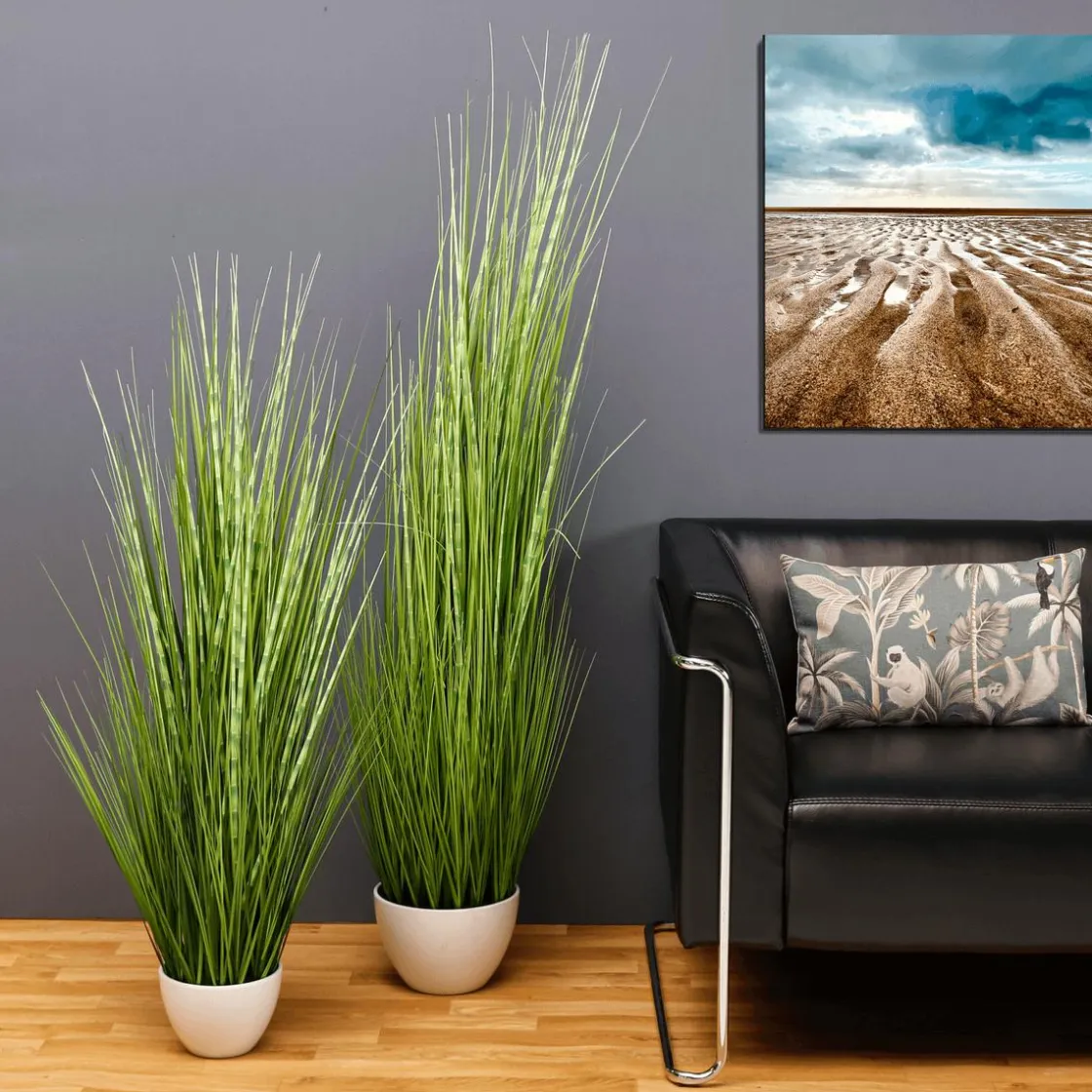 DecoWoerner Plantas De Interior|Hierba Decorativa>XXL Deco Tiger Grass En Maceta Blanca 150 Cm