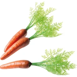 DecoWoerner Verduras Y Hierbas>Zanahorias Con Hojas Verdes Chupete 30 Cm, 3 Piezas