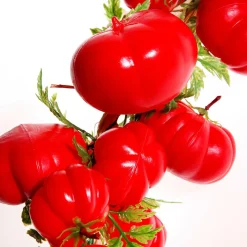 DecoWoerner Verduras Y Hierbas><noscript><img width=